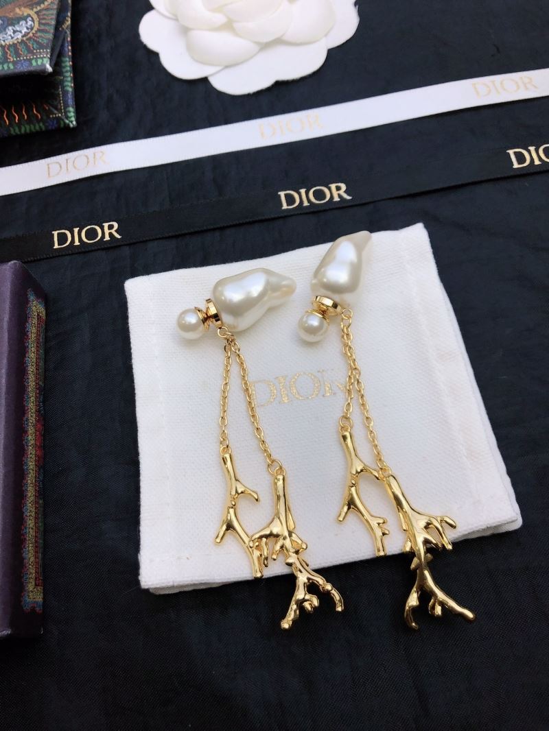 Christian Dior Earrings